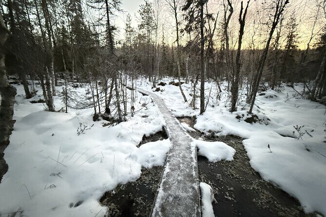 Rovaniemi Vikaköngäs Sightseeing & Photography Tour - An In-Depth Look at the Rovaniemi Vikaköngäs Tour