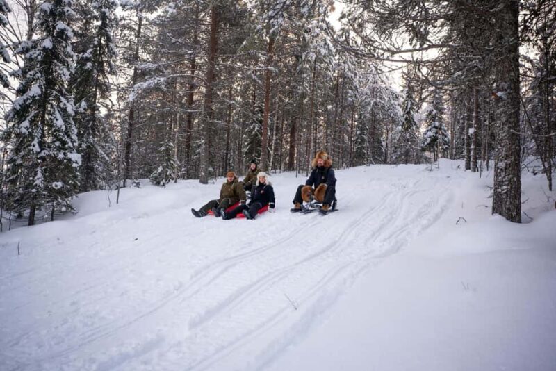 Rovaniemi: Visit Lupland Winter Activity Park at Ranua - Exploring the Experience: What to Expect