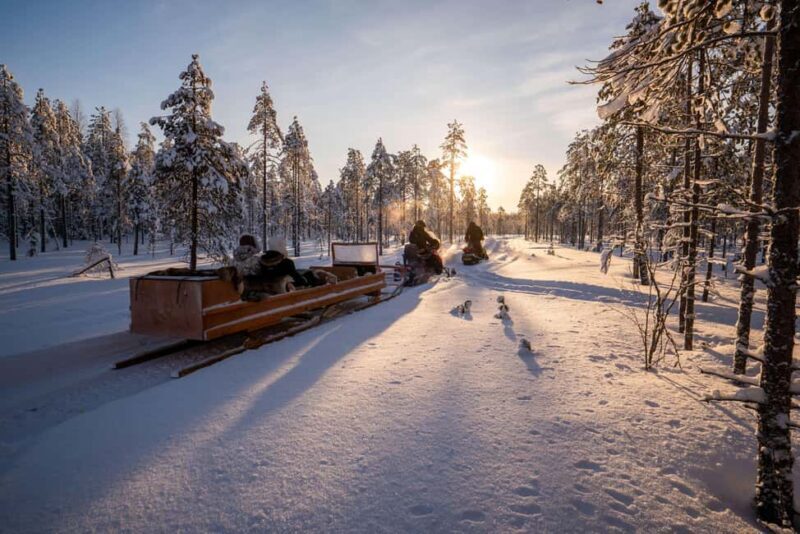 Rovaniemi: Visit Lupland Winter Activity Park at Ranua - Who Would Love This Tour?