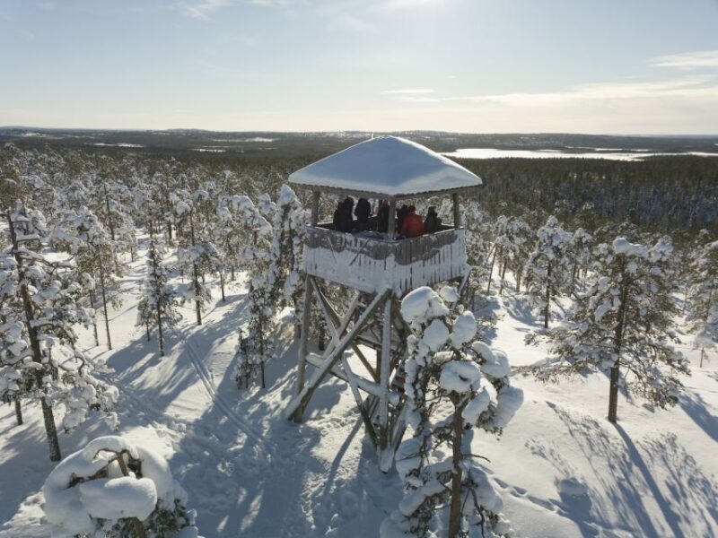 Rovaniemi: Wilderness Tour - Key Points