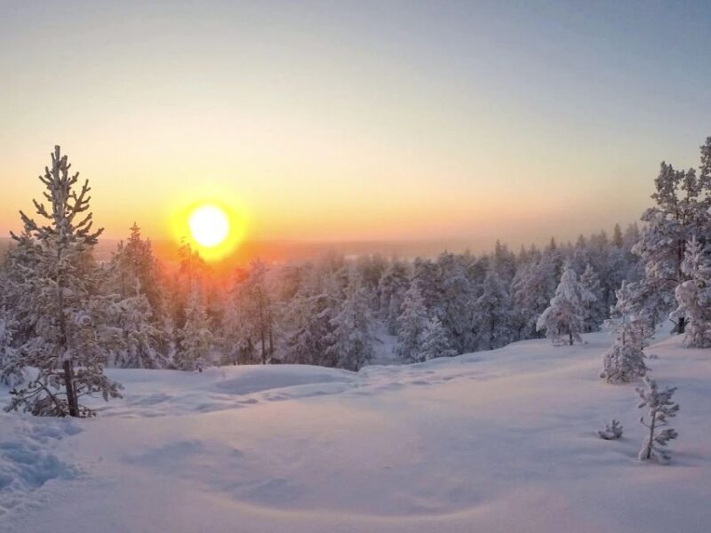 Rovaniemi: Wilderness Tour - FAQ