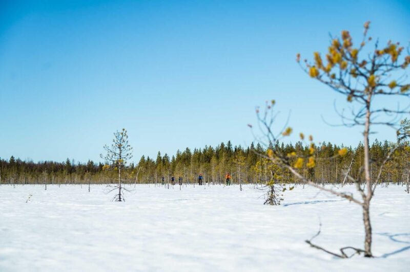 Rovaniemi: Winter eFatbike Tour in Snowy Forest - What’s Not So Great?