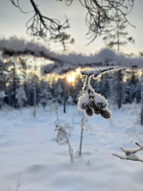 Rovaniemi: Winter Hike and Finnish Sauna Experience - The Sauna: A Heartwarming Finnish Tradition
