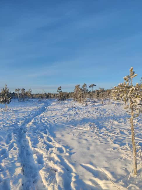 Rovaniemi: Winter Hike and Finnish Sauna Experience - Practical Details: What You Need to Know