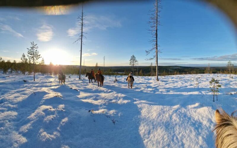 Rovaniemi: Winter Horseback Ride on Snowy Hills and Forests - Key Points