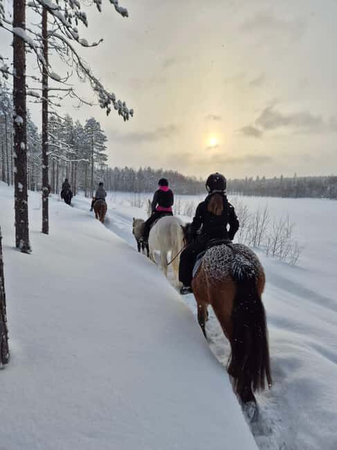 Rovaniemi: Winter Horseback Ride on Snowy Hills and Forests - FAQs
