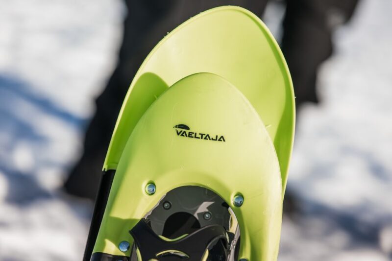 Rovaniemi: Winter Wilderness Snowshoeing Trip - The Experience: What to Expect