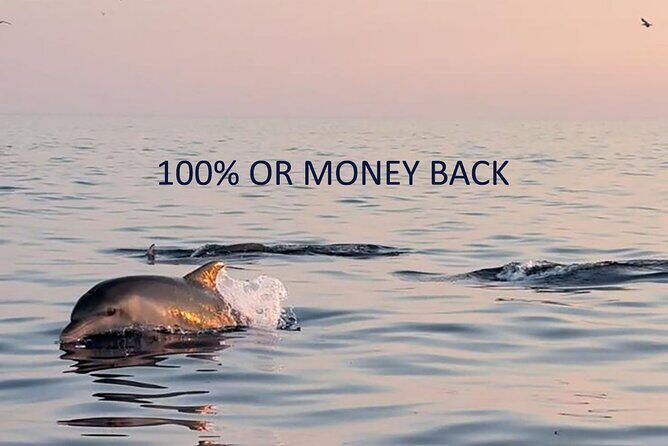 Rovinj by night - FAQ