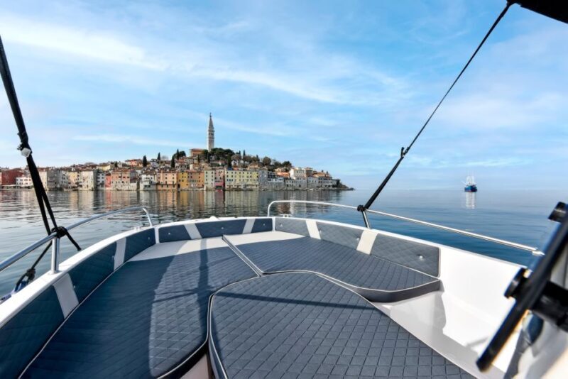 Rovinj: Dolphin Watching Sunset Speedboat Tour with Drinks - The Practical Details