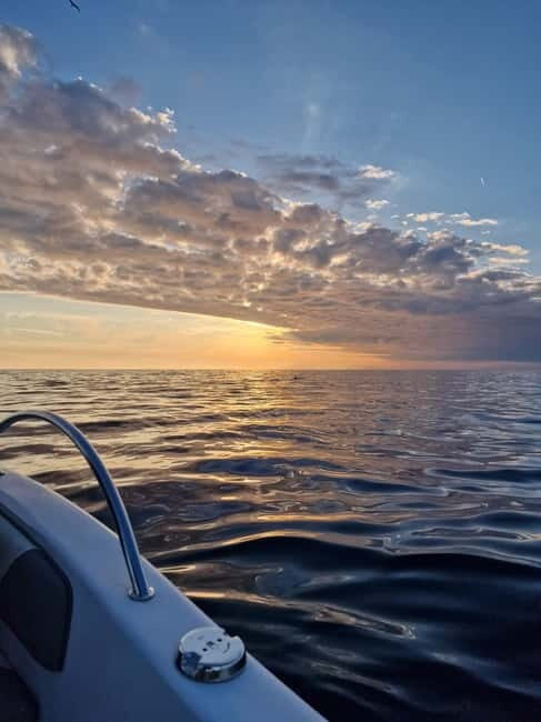 Rovinj Islands: 3-Hour Tour with Swimming and Snorkeling - Analyzing the Value