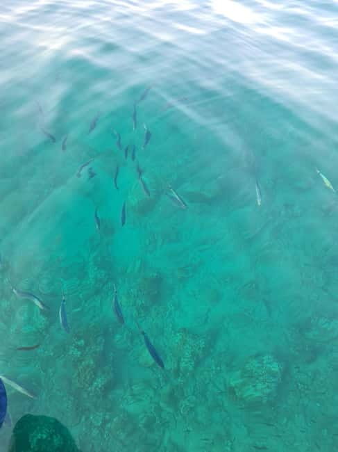 Rovinj Islands: 3-Hour Tour with Swimming and Snorkeling - The Experience from the Traveler’s Perspective