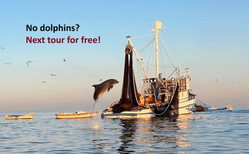 Rovinj: Sunrise Dolphins & Fishermen at Work Speedboat Tour - What About the Price?