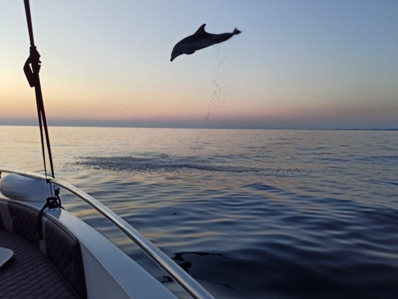 Rovinj: Sunrise Dolphins & Fishermen at Work Speedboat Tour - Who Should Consider This Tour?