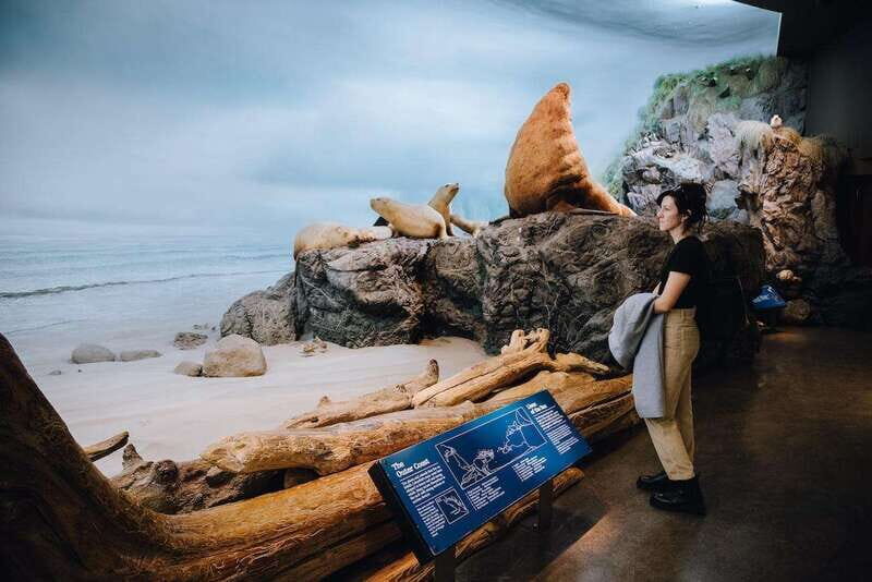 Royal B.C. Museum in Victoria: Full-Day Admission Ticket - What You Can Expect When Visiting