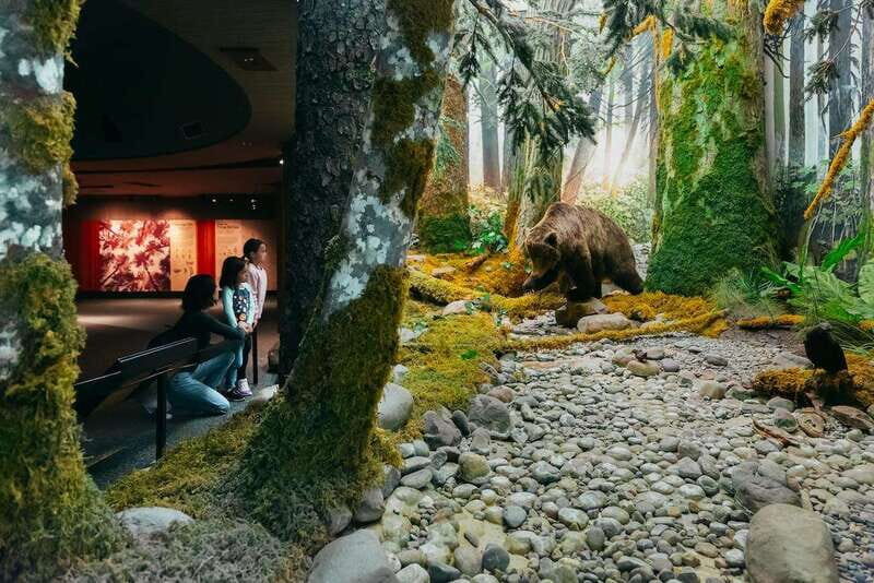 Royal B.C. Museum in Victoria: Full-Day Admission Ticket - Who Will Love This Museum?