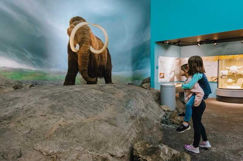 Royal B.C. Museum in Victoria: Full-Day Admission Ticket - Who Might Find It Less Fulfilling?