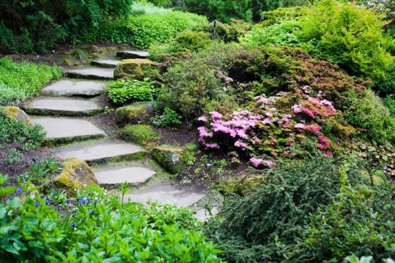 Royal Botanic Garden Edinburgh Private Guided Tour - Final Thoughts