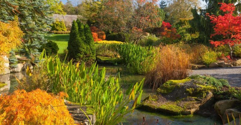 Royal Horticultural Society: Harlow Carr Garden Ticket - A Walk Through Harlow Carr’s Highlights