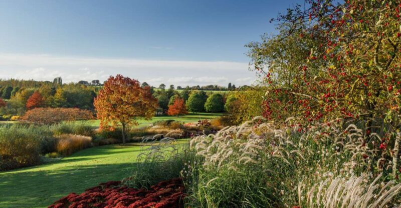 Royal Horticultural Society: Hyde Hall Garden Ticket - What Makes Hyde Hall Stand Out
