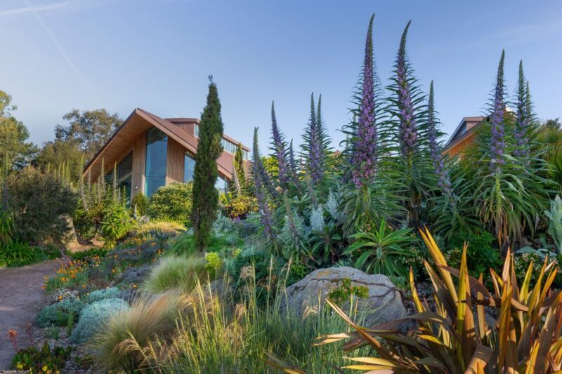 Royal Horticultural Society: Hyde Hall Garden Ticket - Who Should Visit Hyde Hall?