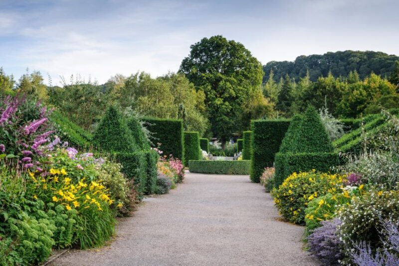 Royal Horticultural Society: Rosemoor Garden Ticket - What’s in Store at RHS Rosemoor?