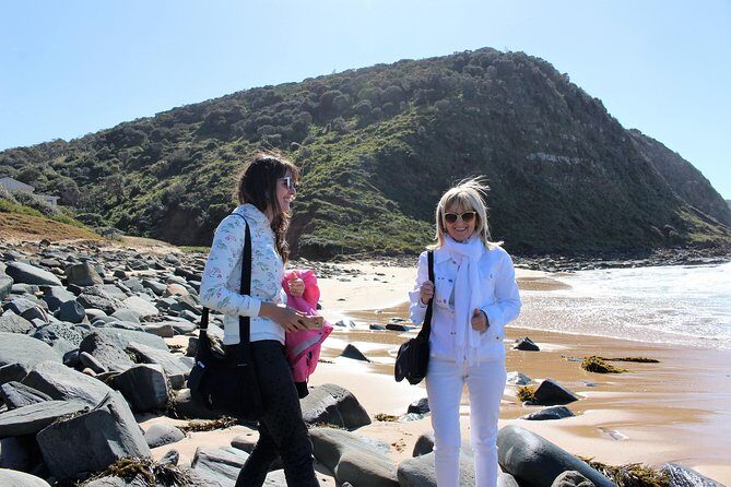 Royal National Park Private Tour - A Walk Through the Day: What to Expect