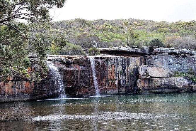 Royal National Park Private Tour - The Value Proposition