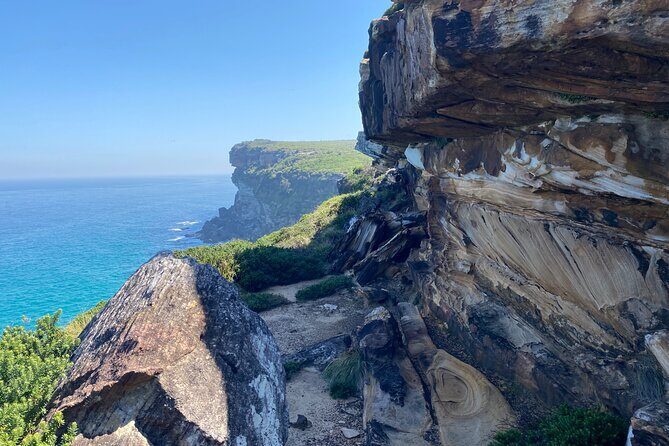 Royal National Park Wilderness Half-Day from Sydney with Picnic - A Detailed Look at the Tour Experience