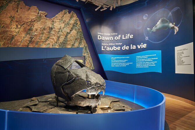 Royal Ontario Museum Admission - Highlights of the Experience