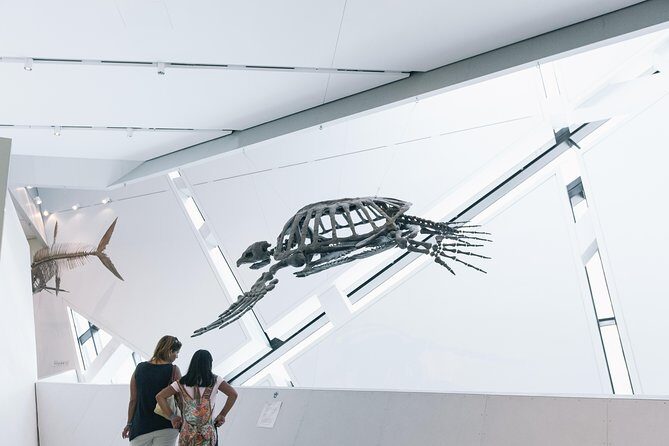 Royal Ontario Museum Admission - Price and Value Analysis