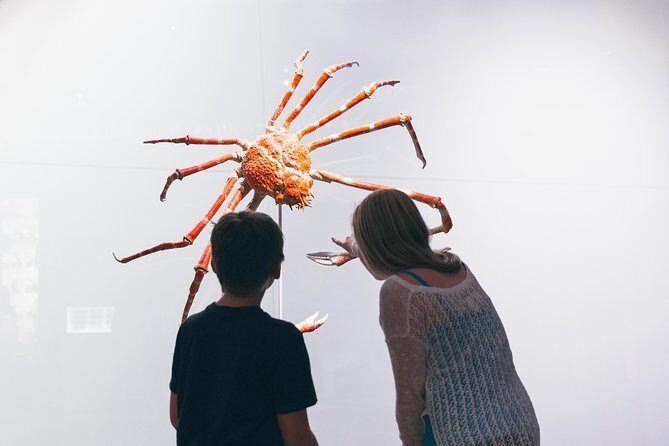 Royal Ontario Museum Admission - Final Thoughts: Who Should Visit?