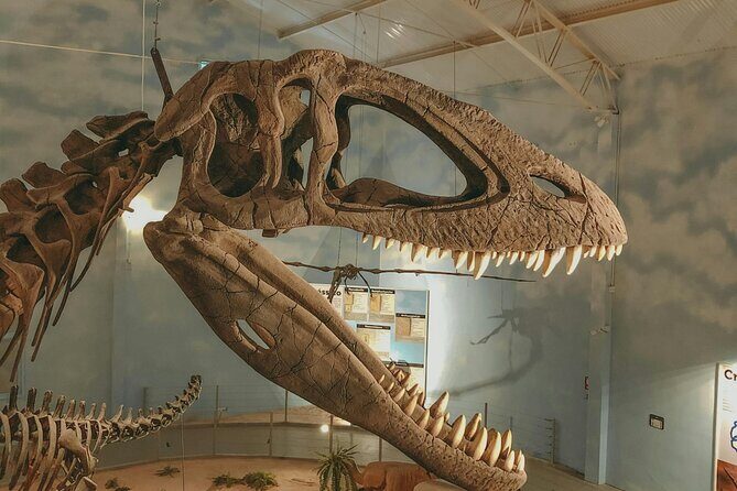 Royal Ontario Museum Toronto Tour with Skip-the-Line Tickets - What to Expect from the Tour