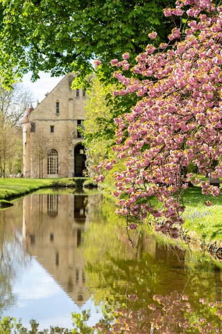Royaumont Abbey Entrance Ticket - The Cultural Scene Today