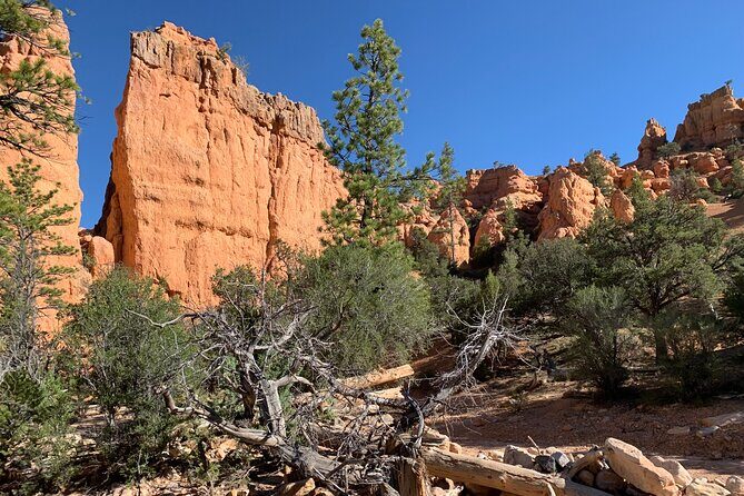 Ruby's Horseback Adventures Utah Half Day Ride - Key Points