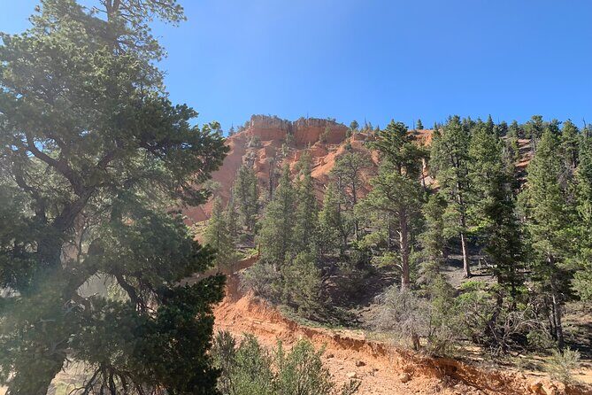 Ruby's Horseback Adventures Utah Half Day Ride - The Cost and Value: Is it Worth It?