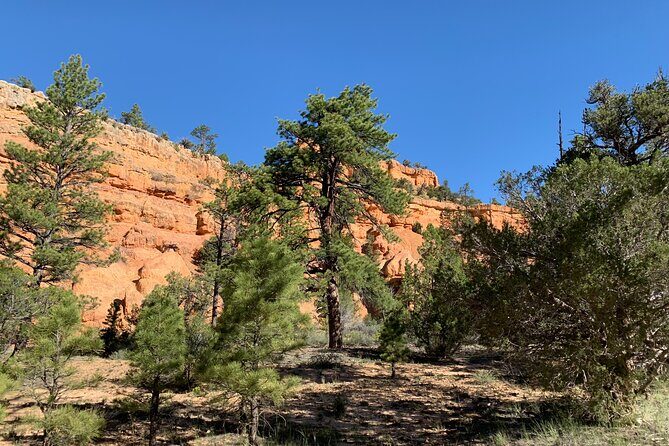 Ruby's Horseback Adventures Utah Half Day Ride - Who Is This Tour Best For?