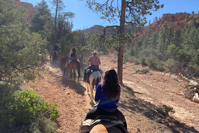 Ruby's Horseback Adventures Utah Half Day Ride - Practical Tips for Your Ride