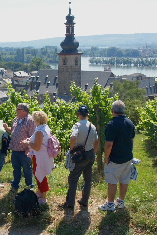 Rüdesheim am Rhein: city tour - A Closer Look at the Rüdesheim am Rhein City Tour