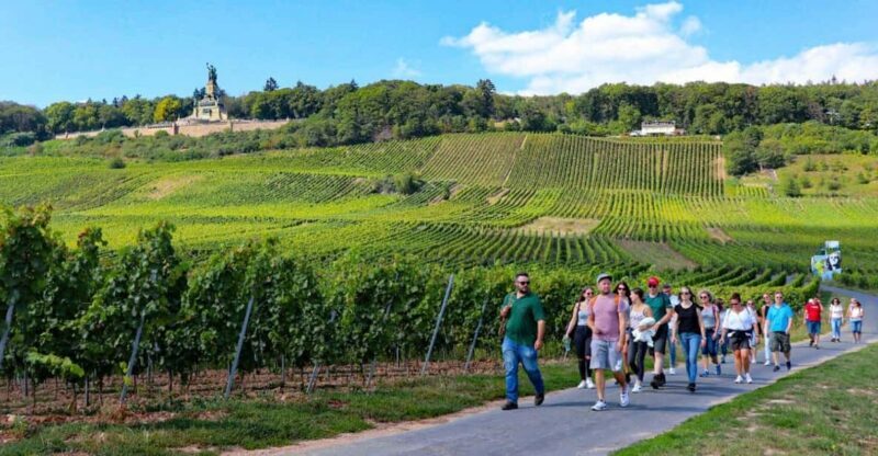 Rüdesheim - Guided wine hikes with 4wines and cable car ride - Setting the Scene: What to Expect from the Tour