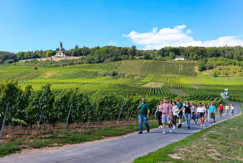 Rüdesheim - Guided wine hikes with 4wines and cable car ride - The Experience in Practice: What Do You Actually Do?