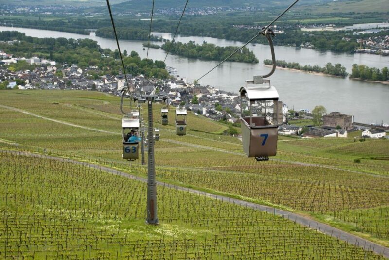 Rüdesheim: Private Guided Walking Tour - Key Points