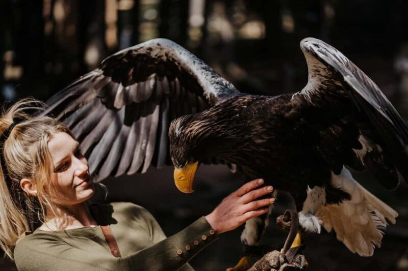 Ruhla: Ticket for a flight show with eagles, owls, and more. - Who Should Consider This Tour?
