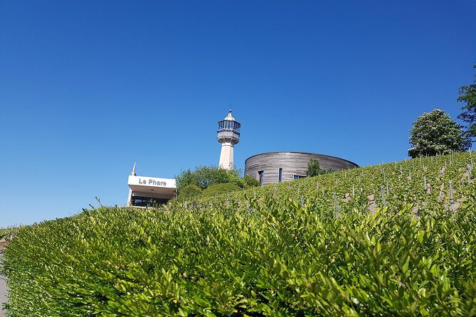 Ruinart champagne special tour - Practical Details and Considerations