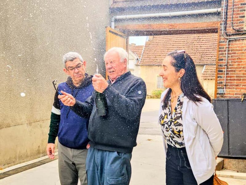 Ruinart Tasting and Fun Private Tour in Champagne - Key Points