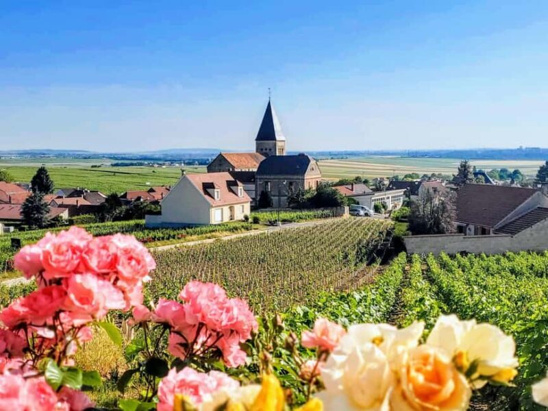 Ruinart Tasting and Fun Private Tour in Champagne - The Sum Up