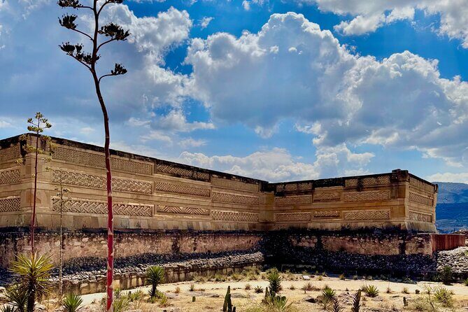 ruins ,colors and maguey private tour - Key Points