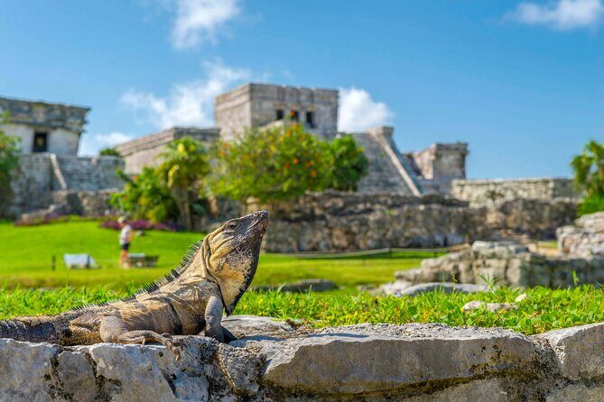 Ruins in Tulum Walking Tour with Audioguide (no ticket) - Who Will Enjoy This Experience?