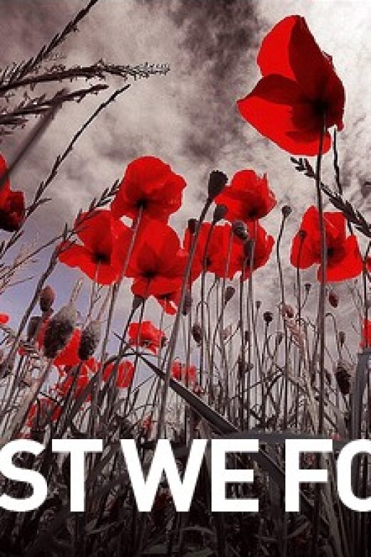 Ruins of Troy and Gallipoli: 2-Day Tour from Istanbul - Exploring the Ruins of Troy