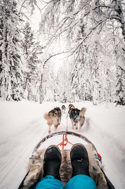 Ruka: 10km Husky Sled Ride with Snacks and Campfire - Key Points