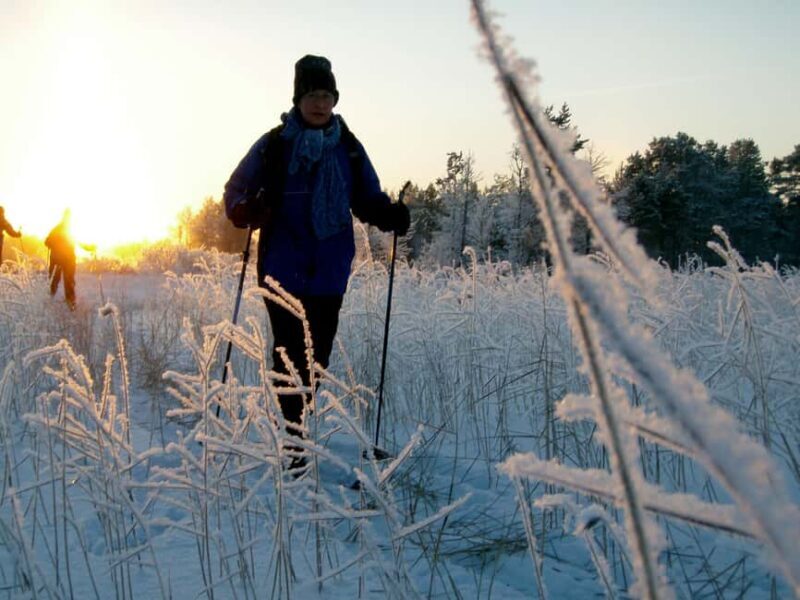 Ruka: Guided Cross-Country Skiing Experience - Who Will Enjoy This Tour?